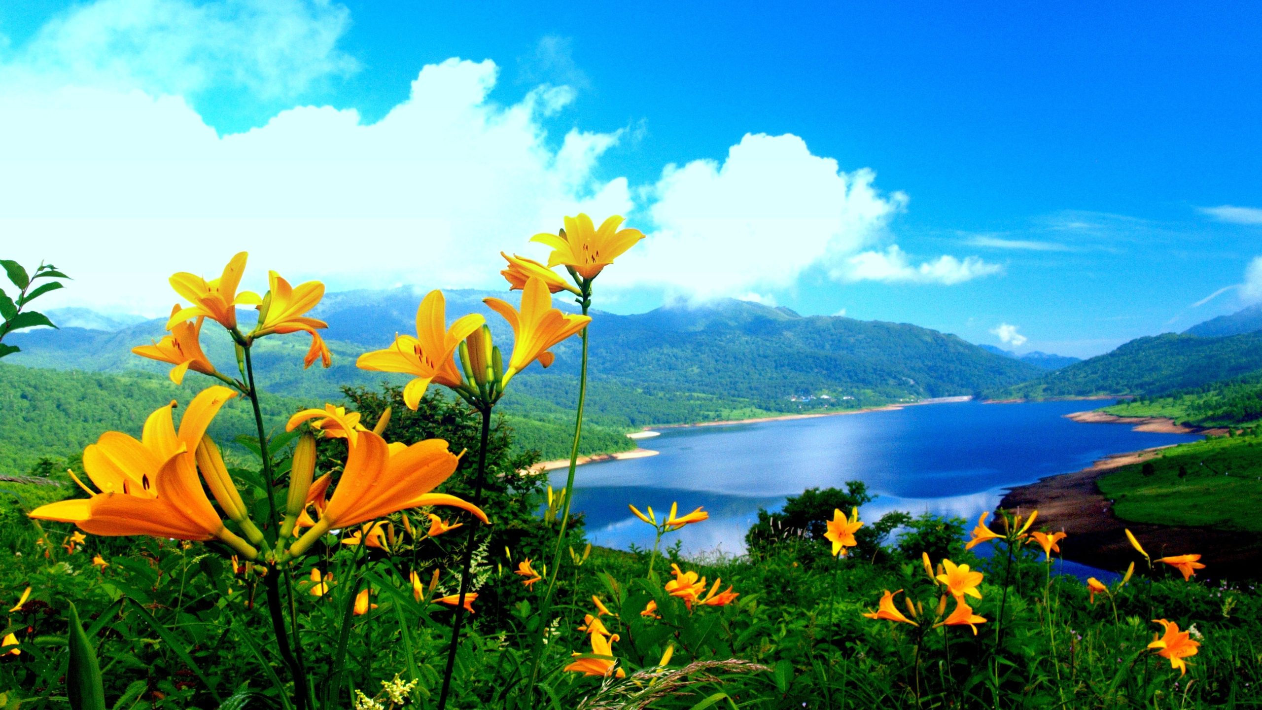 nature-wallpaper-hd-1 nature-wallpaper-hd-1